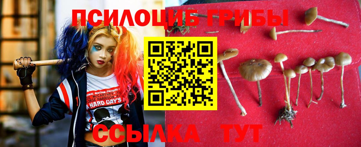 Псилоцибиновые грибы Magic Shrooms Чусовой
